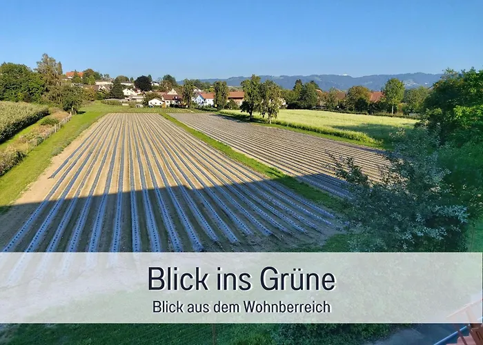 Gemuetlich*stylisch*netflix*blick Ins Gruene*